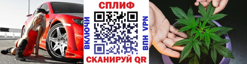 мега ТОР  как найти   Олонец  Конопля марихуана 